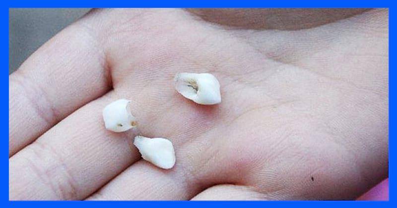 Живая открытка для о дружбе Живая открытка для о дружбе