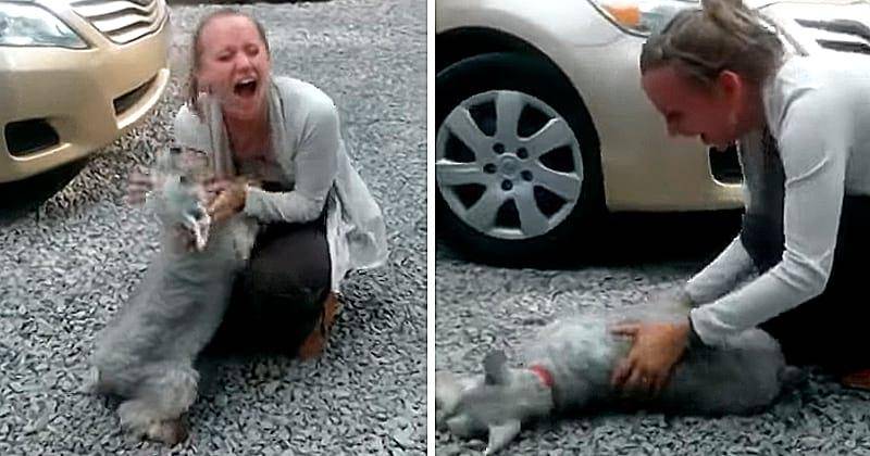 Собака упала в обморок ,они не виделись 14 лет ... Посмотрите на это ! - YouTube