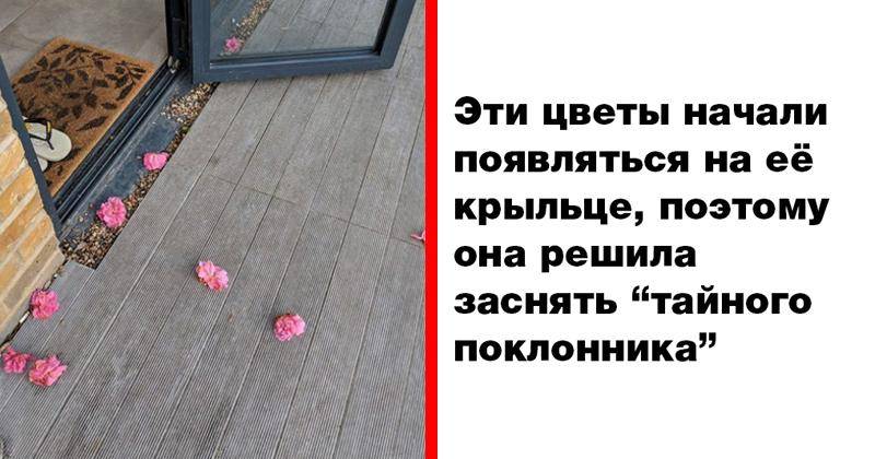 Есть ли у меня тайный поклонник. От Тайного поклонника. Тайный поклонник записка. Тайное послание от поклонника. Что написать тайному поклоннику.