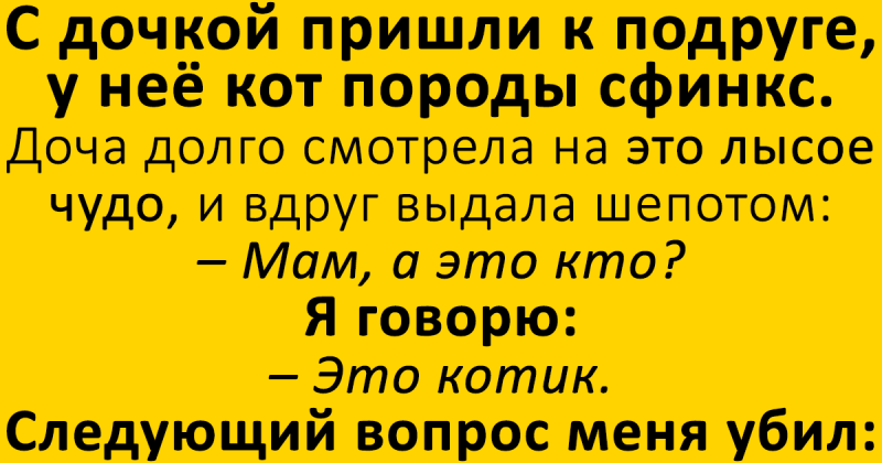 Доча пришла