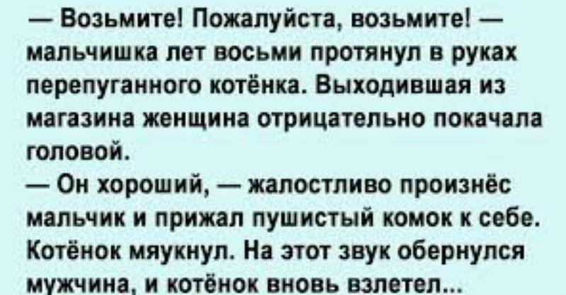 Выходил выхаживал. Мальчишка лет восьми протянул в руках перепуганного котёнка.. Возьмите пожалуйста возьмите мальчишка лет восьми. Возьмите. Пожалуйста возьмите. Возьмите котенка пожалуйста.